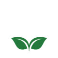 rt 2020